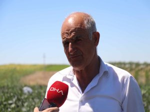 TALAS'TA ÇEVRECİ KENTSEL DÖNÜŞÜM