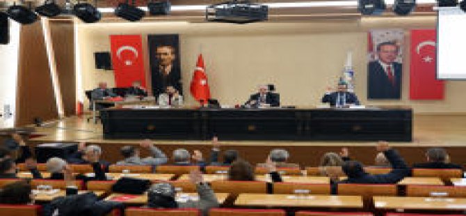 KOCASİNAN'IN FİDELERİNDEN KİLOLUK DOMATESLER YETİŞTİ
