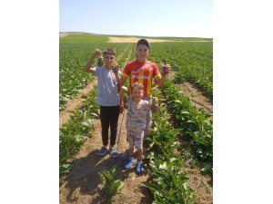PINARBAŞI MÜFTÜLÜĞÜ EZAN KURSU VERDİ