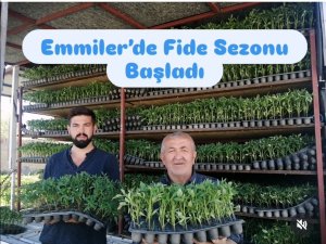 KAYSERİ'DE DOMATES FİDESİ SATIŞI BAŞLADI