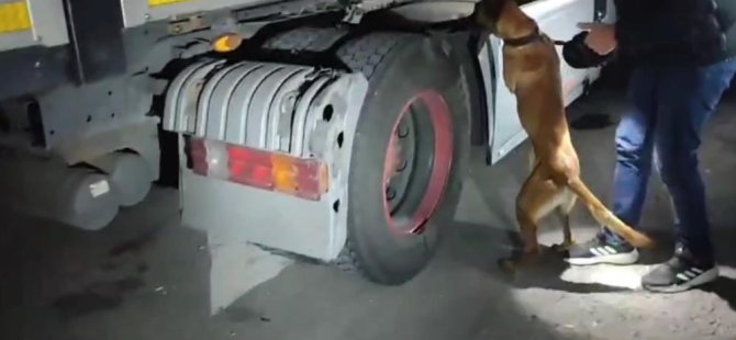 Mia ile arama yaptı