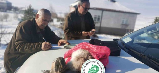 Kayseri’de yasa dışı av yapan 3 kişiye ceza yazıldı