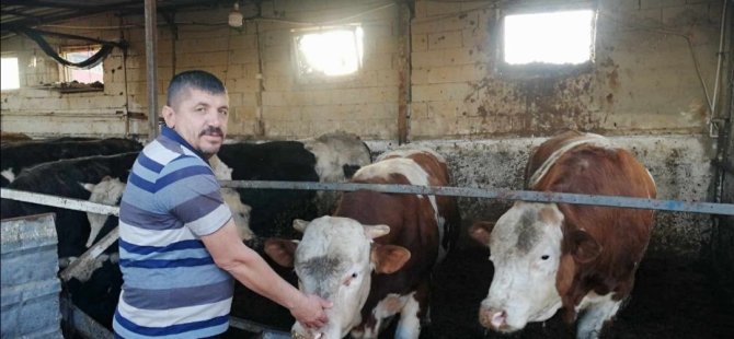 KAYSERİ’DE KURBANLIK SATIŞLARI BAŞLADI