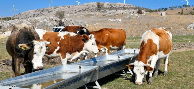 Büyükşehir Pınarbaşı'nda hizmetlerine aralıksız devam ediyor