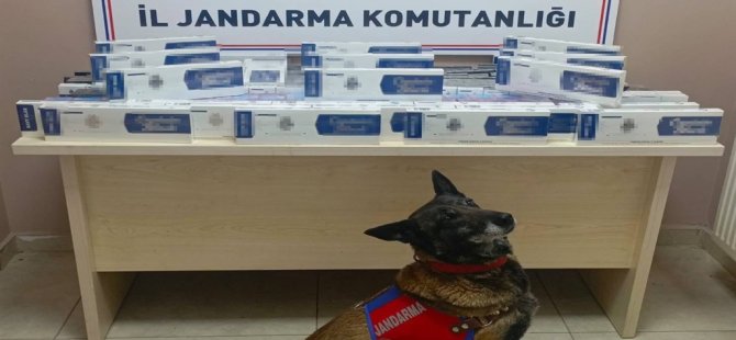 Kayseri'de kaçak sigaraya 1 gözaltı