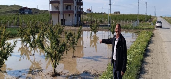 Sel sularının dolduğu tarım arazileri ve meyve bahçeleri zarar gördü