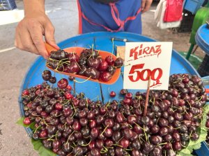 Zirai donun vurduğu kiraz,kilosu 500 liradan satılıyor