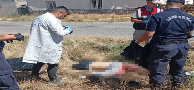 Felahiye'de, otomobilin çarptığı 2 yaya öldü