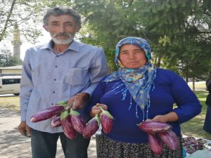 Yemliha tarımsal kalkınma kooperatifi telefon 0507 183 00 40