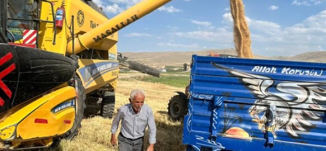 Ebiç Köyü'nde Buğday Hasadı Sürüyor..