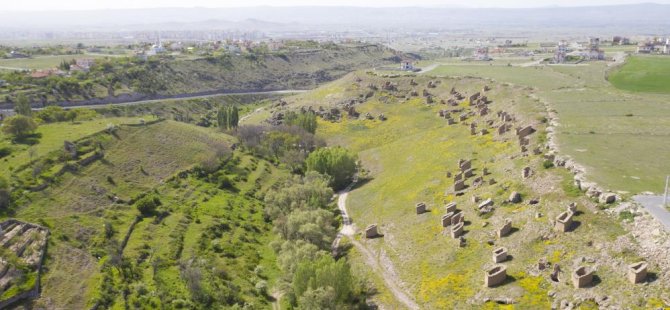 Gesi Bağları koruma altına alınacak