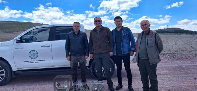 Yasa dışı olarak saka kuşu bulunduranlar yakalandı