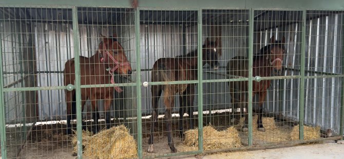 At eti kesimi yapılan kaçak işletmeye operasyon