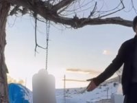 Pınarbaşı'da köpeği ağaca asarak öldüren şüpheli tutuklandı 