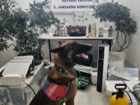 Uyuşturucu ticareti yaptığı belirlenen 1 kişi, jandarma ekiplerince gözaltına alındı