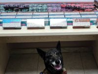 Kayseri’de 1 kişiye kaçak sigara gözaltısı