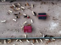 Çolakbayrakdar: Belediyecilik hizmetlerinde her zaman en iyisini hedefliyoruz