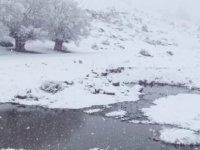 3 ilçede kar yağışı etkili oldu