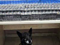 Kayseri’de 2 TIR’da kaçak sigara ele geçirildi