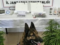 Kayseri’de 1 kişiye uyuşturucu gözaltısı