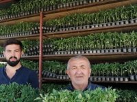 Emmiler’de Fide Sezonu Başladı