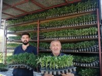 Kocasinan Emmiler’de Fide Sezonu Başladı