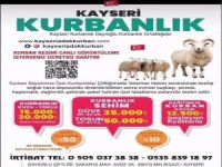 Dayıoğlu besicilikten örnek davranış şehit ailelerine yüzde 50 indirim