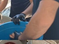 Muhtardan Mahale Sakinlerine Ücretsiz Et Çekimi