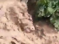 Felahiye’de Sağanak Yağış Sele Neden Oldu