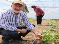 KOCASİNAN’DA ŞEHİR MERKEZİNDE 60 BİN FİDELİ TARIMSAL ÜRETİM DİKKAT ÇEKİYOR