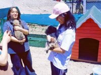 TALAS PATİ EVİ'NDE SEVGİ DOLU BULUŞMA