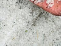 Tomarza’da dolu, tarım arazilerinde zarara neden oldu