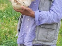 Kayseri’de 3 kilo 400 gram mantar buldu