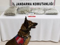 Kayseri’de 1 kişiye uyuşturucu gözaltısı