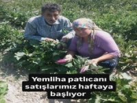 2026 Yılı Yemliha tarımsal kalkınma kooperatifi telefon 0507 183 00 40