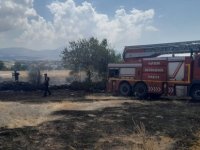 Kayseri’de anız yangını