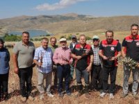 Başkan Çolakbayrakdar: Karabuğdayla hem arıcılığa hem Kayseri tarımına yeni bir soluk getiriyoruz