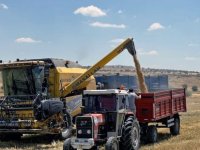 Talas Belediyesi'nin 8 dekarlık arazisinden 2,7 ton arpa elde edildi