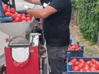 Muhtardan mahalle sakinlerine ücretsiz salça hizmeti