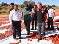 Yeşilhisar’da üretilen domatesler kurutularak ihraç ediliyor