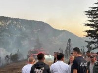 Yahyalı’daki orman yangını söndürüldü