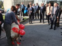 KTO yönetimi yeni hizmet dönemine kurban keserek başladı