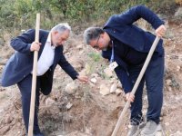 Talas’ta Artrit Günü ağaçlandırması