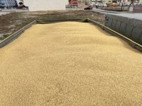Arkadaşıyla plan yapıp, çalıştığı iş yerinden 250 ton arpa çaldı