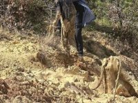 İneğiyle birlikte çamura saplanan çiftçiyi AFAD kurtardı