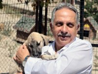 TALAS PATİ EVİ, SAHİPSİZ CANLARA YUVA OLUYOR