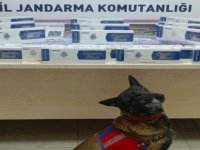 Kayseri'de kaçak sigaraya 1 gözaltı