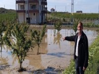 Sel sularının dolduğu tarım arazileri ve meyve bahçeleri zarar gördü