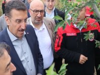 TBMM Zirai Don Olayını Araştırma Komisyonu, Yeşilhisar'da