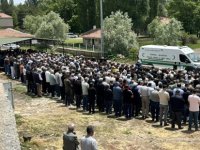 TOMARZA DA KENE ISIRMASI SONUCU BİR KİŞİ VEFAT ETTİ